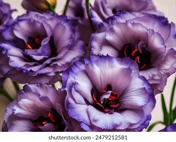 参与世博平台活动:体验多元文化与国际合作的魅力