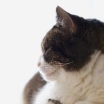 博久娱乐:探索多元化娱乐体验的全新平台 nwu2fp