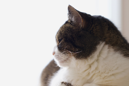 博久娱乐:探索多元化娱乐体验的全新平台