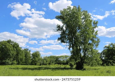 博雅德州扑克赛事回顾:精彩瞬间与精彩对决