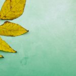 和记在社会责任方面的贡献与可持续发展实践 vxzey