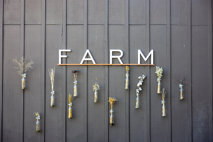 双龙娱乐的未来展望:如何迎接新技术带来的挑战与机遇