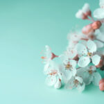 17102期开奖结果震撼揭晓,大奖花落谁家引关注 00z7s55k