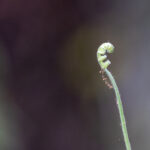 17138期体育彩票开奖结果查询与最新公布 22vgb39