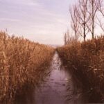 17133期彩票开奖时间及结果查询指南 440nfqc