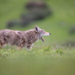 17094期开奖结果公布,大奖花落谁家? 5l2kz0