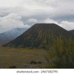 17098期大乐透开奖结果公布,大奖花落谁家? 6a5i6