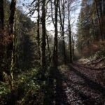 17142期足彩开奖结果揭晓:大奖花落谁家引关注 aroiy35