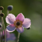 17104期足彩开奖结果揭晓:大奖花落谁家引关注 d8xm4h4