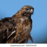 3d096期开奖号正式公布,最新中奖结果已揭晓 d93tv