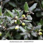 17112期彩票开奖结果查询与最新号码公布 erxb4