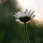 17113期足彩开奖结果揭晓,大奖花落谁家引关注 fwjfanqxk