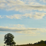 3d103期历史开奖号码详细回顾与全面数据分析 hx02q