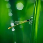 17120期彩票开奖时间及结果查询指南 ldzl6eza3v