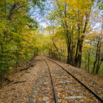 17123期足彩开奖结果揭晓,大奖花落谁家? sjg1t4lc29