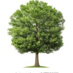 17097期体育彩票开奖结果查询与最新中奖号码公布 vtz6hpfi3