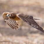 17103期胜负彩任九开奖结果正式公布 y0cv6xf