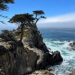 17138期开奖结果揭晓:幸运号码正式公布 zb2vz8bdty